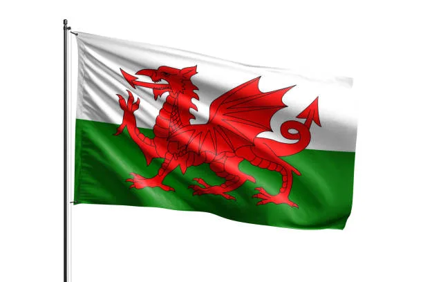 Welsh Flag