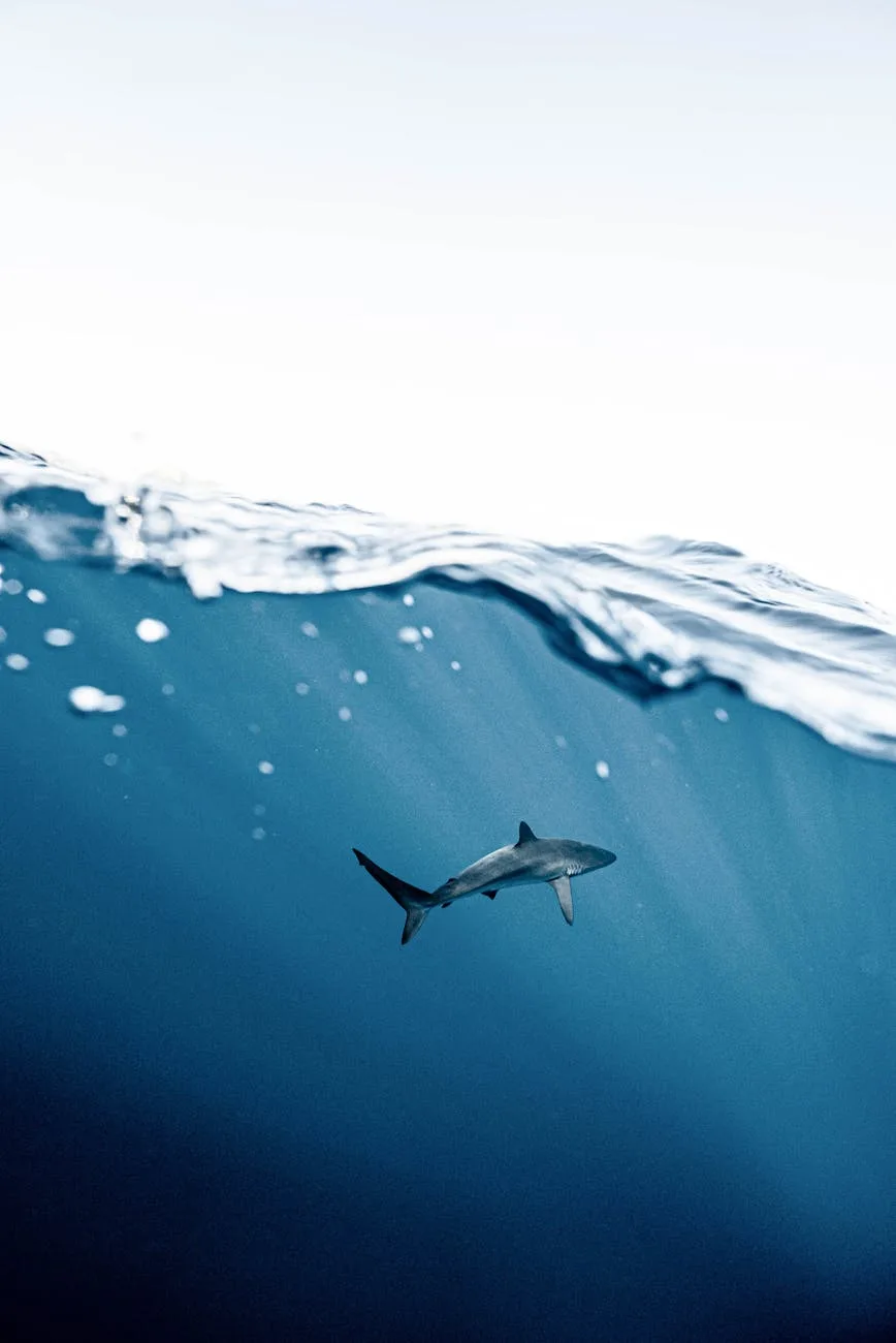 Shark Tank Casting